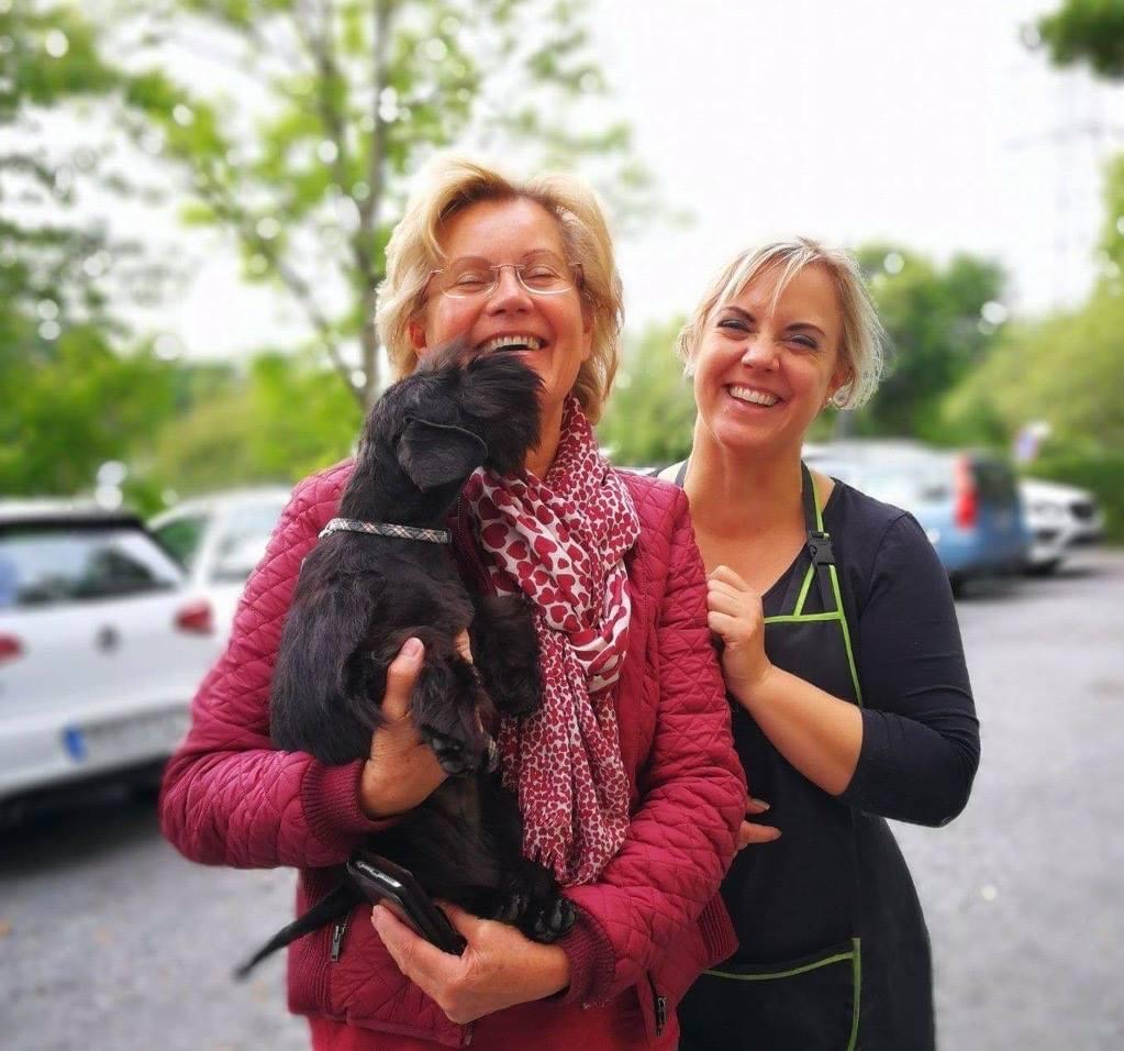 Anne och Jannica Wallin på gården med åtta av kennelns dvärgschnauzrar