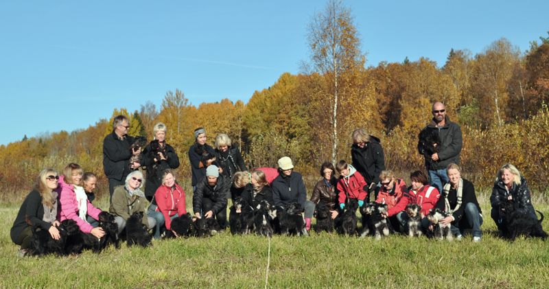 Valpköpare och uppfödare samlade till vinterpromenad med hundarna