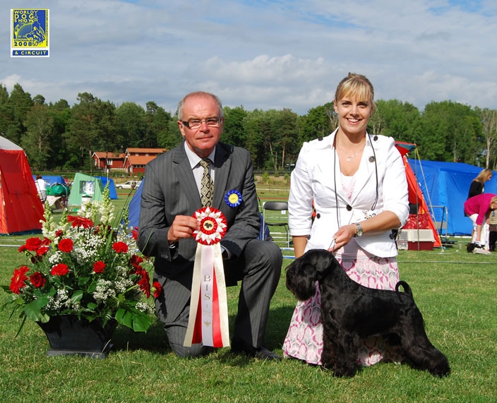 Fixus Hasta La Vista tar Best in Show i Drammen 2009