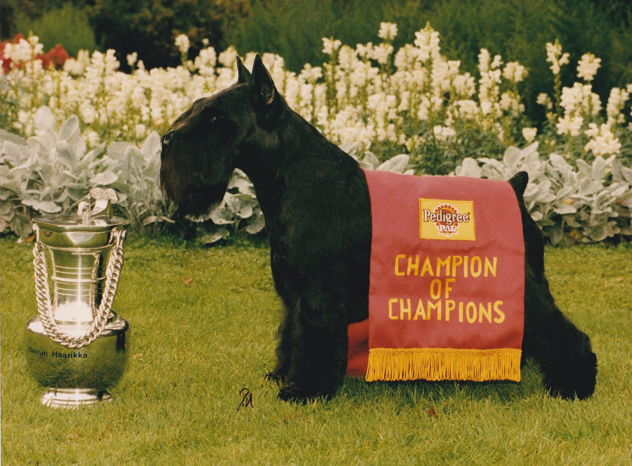 Ulf Van De Havenstad, kallad Uffe, på galan för Årets Hund 1998