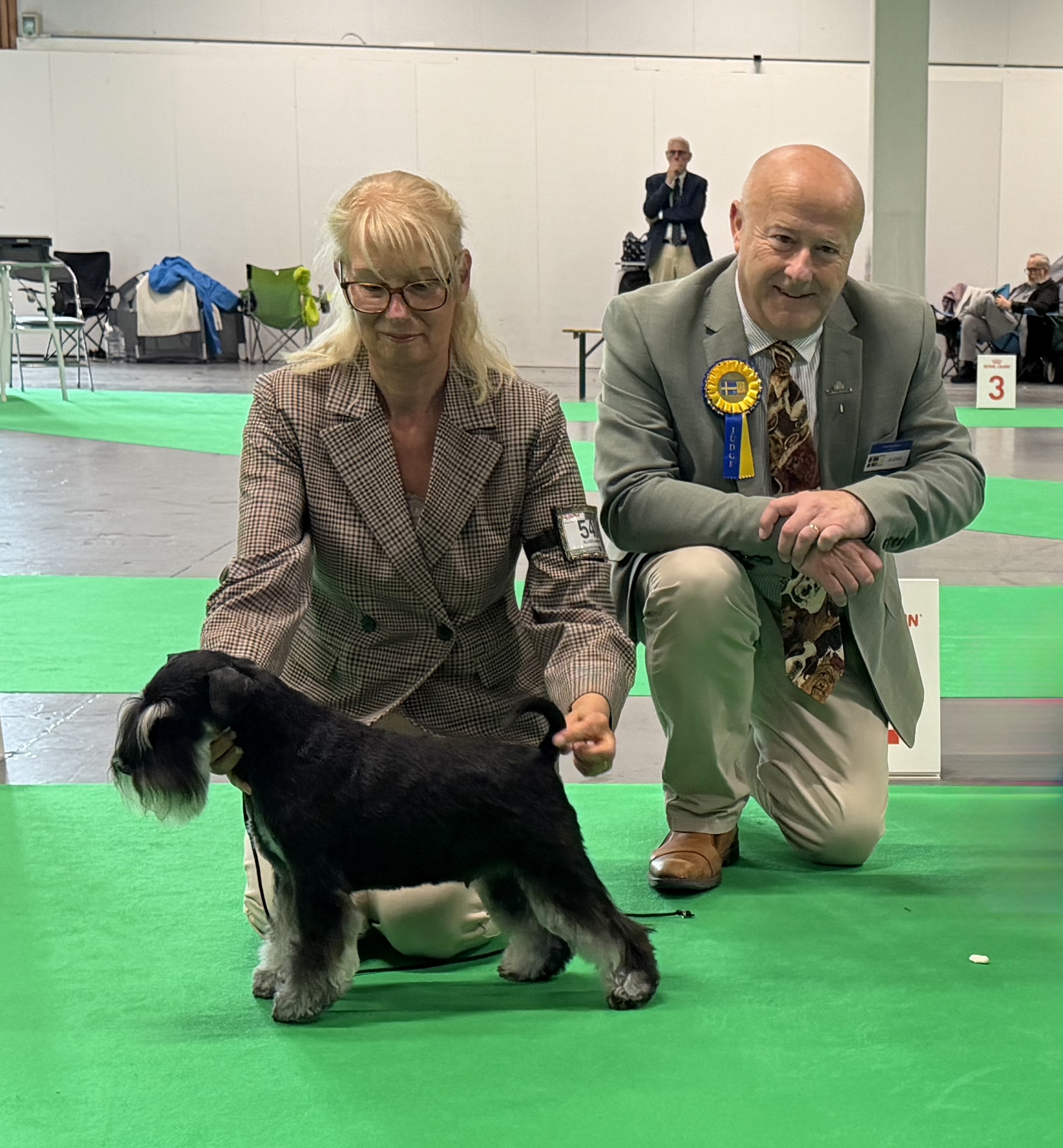 Fixus Mingle, Mona, BIR-veteran på European Winner Show 2026 med Ann-Louise Gyllenbern och domaren Bojan Matakovic